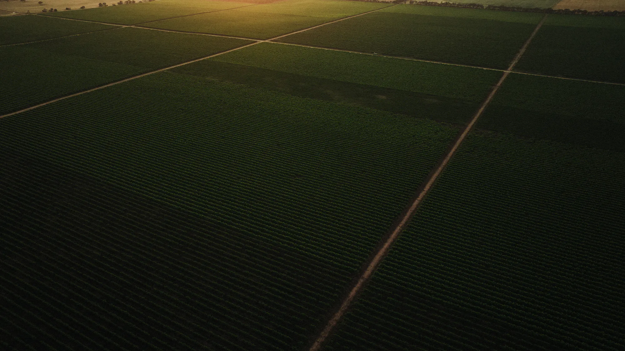 DJI 0900